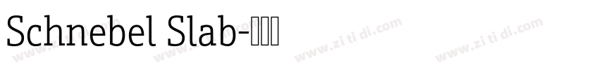 Schnebel Slab字体转换 Schnebel Slab字体转换